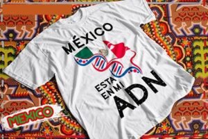 Fiestas Patrias Mexico 13